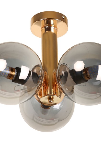 3'lü Gold Kaplama Füme Camlı Modern Tavan Avizesi fırsatları