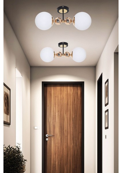 Siyah ve Altın Detaylı Camlı Modern Avize, Şık ve Zarif Tasarım.