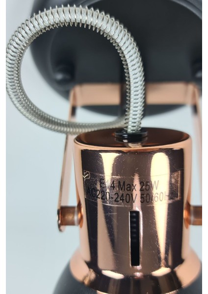 Ayarlanabilir Siyah Tavan Lambası, Aplik ve Spot Işık, Modern ve Şık Tasarım fiyatları