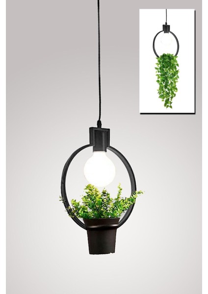 Siyah Ferforje Saksı ve Avize Dekoratif, Ofis ve Balkon Için Şık Tasarım