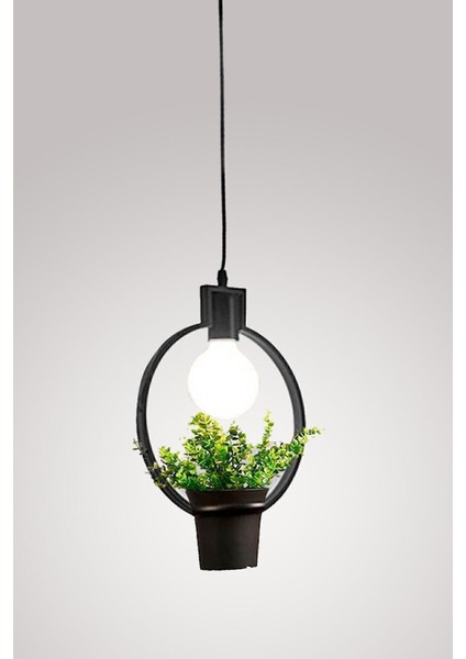 Siyah Ferforje Saksı ve Avize Dekoratif, Ofis ve Balkon Için Şık Tasarım fiyatları