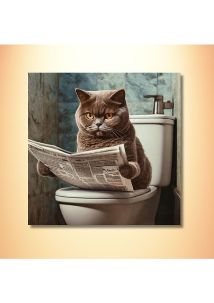 Gri British Kedi Temalı Tekli Kare Kanvas Banyo Tablosu, Şık ve Modern Dekorasyon. modelleri