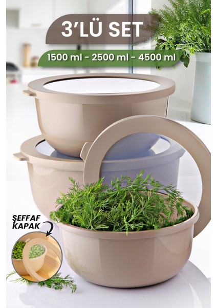 3'lü Saklama Kabı Seti, Mikrodalga ve Dondurucu Uyumlu, 1500-4500 ml Kahverengi