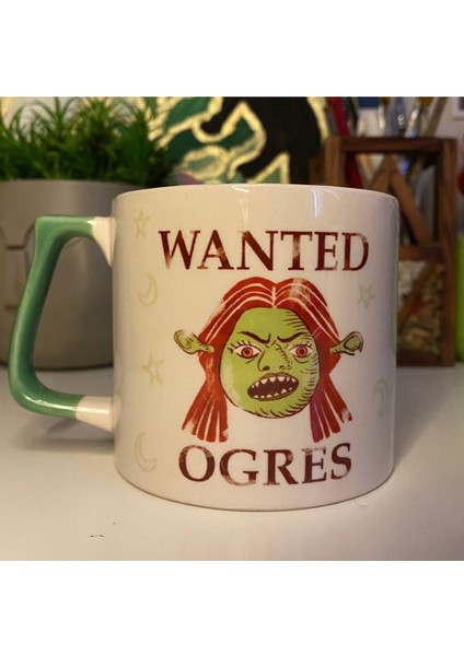 Yeşil 2'li Çift Kupa Bardak Çay Kahve Fincanı Seti fiyatları