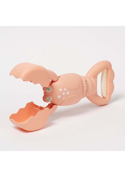 Renkli Kum Toplama Oyuncağı, Eğlenceli ve Güzel Renkler, Çocuklar Için Harika Seçenek