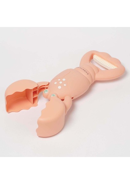 Renkli Kum Toplama Oyuncağı, Eğlenceli ve Güzel Renkler, Çocuklar Için Harika Seçenek