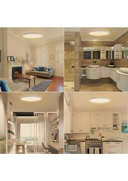 Modern 24W Ledli Metal Avize, Gün Işığı, Banyo, Balkon, Wc, Aydınlatma