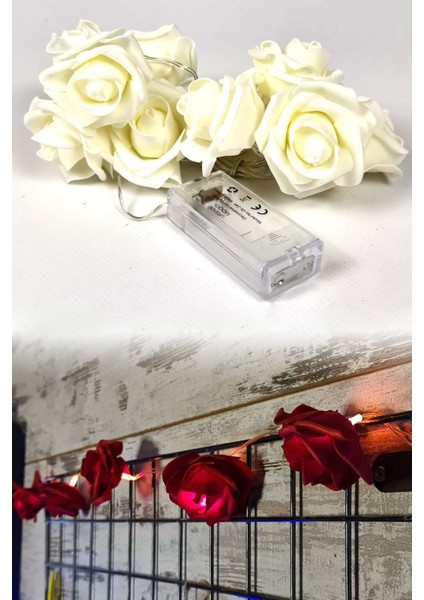 10'lu Ekru LED Işık Gül Seti, 150CM, Dekoratif, Yumuşak Aydınlatma