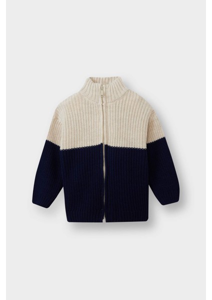 Erkek Bebek Renk Bloklu Dik Yaka Fermuarlı Triko Hırka F2350A525AU