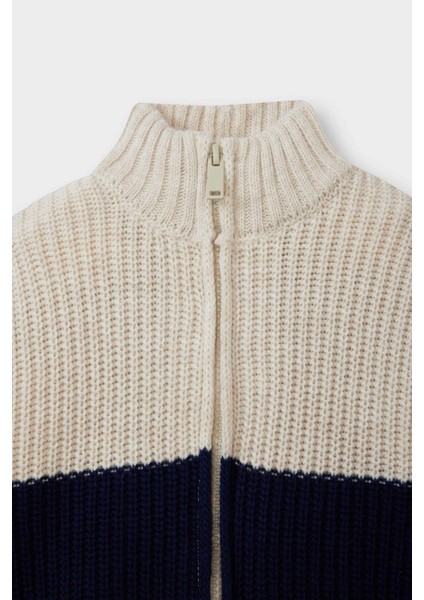 Erkek Bebek Renk Bloklu Dik Yaka Fermuarlı Triko Hırka F2350A525AU fiyatları