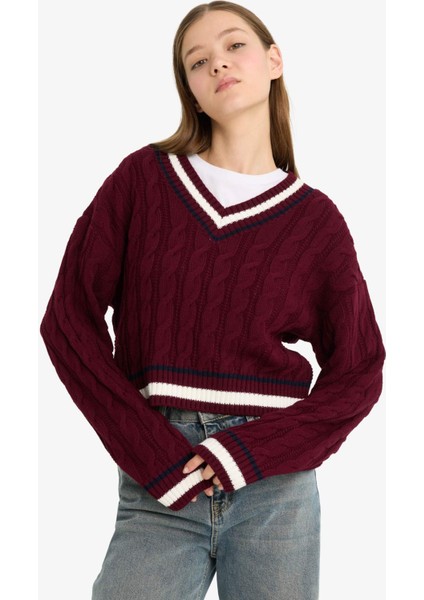 Regular Fit V Yaka Saç Örgülü Triko Kazak C7321AX25WN