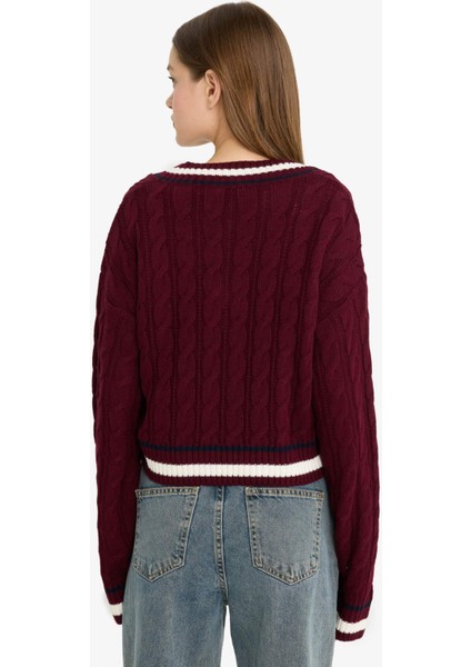 Regular Fit V Yaka Saç Örgülü Triko Kazak C7321AX25WN