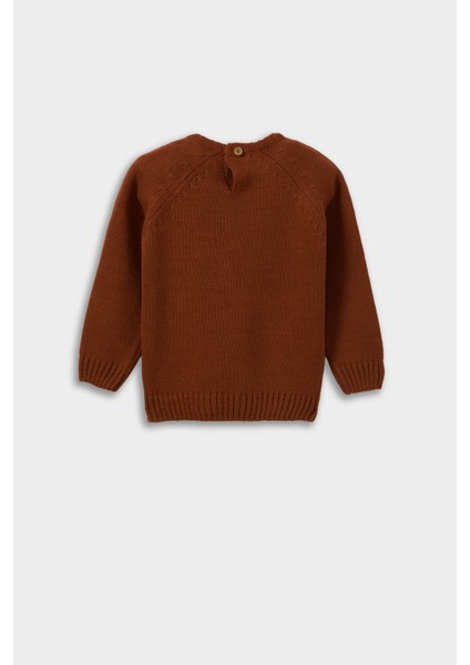 Erkek Bebek Bisiklet Yaka Triko Kazak F2408A525WN modelleri