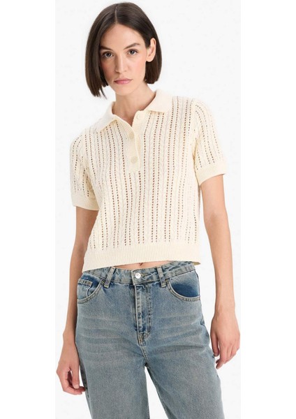 Regular Fit Polo Yaka Ajurlu Triko Kazak F7870AX25AU modelleri