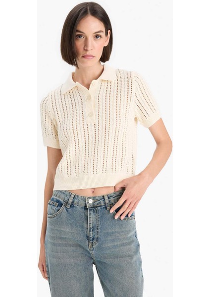 Regular Fit Polo Yaka Ajurlu Triko Kazak F7870AX25AU fırsatları