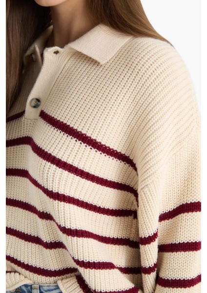 Relax Fit Polo Yaka Düğmeli Çizgili Triko Kazak C4918AX25WN indirimleri