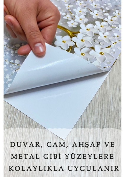 Yapışkanlı 3D Dünya Haritası Duvar Dekoru, Beyaz Renk modelleri