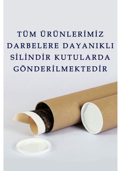 Yapışkanlı 3D Dünya Haritası Duvar Dekoru, Beyaz Renk fırsatları