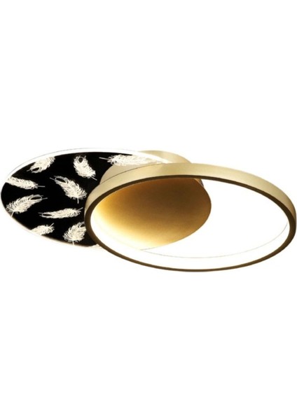 Şık Altın Renkli 20W LED Tavan Lambası, 3000K Işık Sıcaklığı