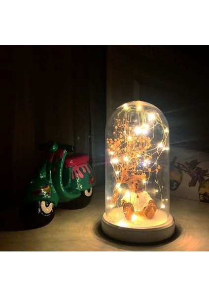 Işıklı Fanus Ayı ve Çiçek Figürlü Beyaz Taban Lamba, Şık ve Sıcak Atmosfer Yaratır fiyatları