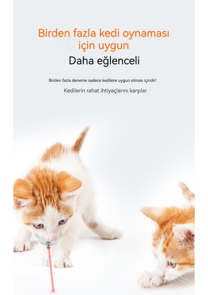 Akıllı Lazer Komik Kedi Yaka (Yurt Dışından) modelleri