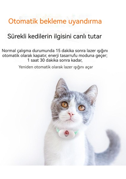 Akıllı Lazer Komik Kedi Yaka (Yurt Dışından) fırsatları