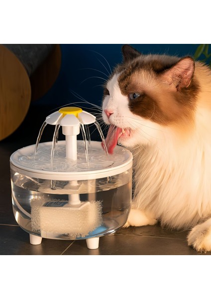 Otomatik Filtre Akış Besleyici Evcil Hayvan Malzemeleri (Yurt Dışından) fiyatları