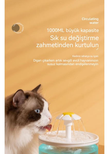 Otomatik Filtre Akış Besleyici Evcil Hayvan Malzemeleri (Yurt Dışından) modelleri