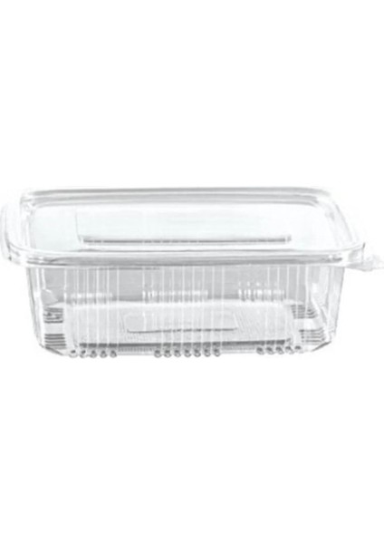 Turuncu Sızdırmaz Kap 1000GR 25 Adet Buz Dolabı Saklama Kabı indirimleri