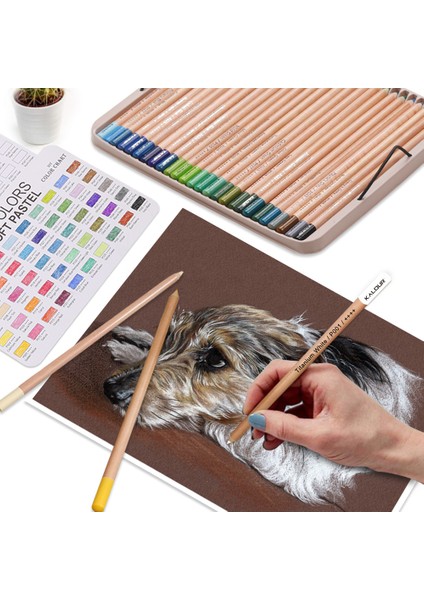 50 Parça Profesyonel Yumuşak Pastel Renkli Kalem Ahşap Cilt Tonları Pastel Renkli Kalemler Sanatçı Boyama Sanat Malzemeleri Için (Yurt Dışından) fiyatları