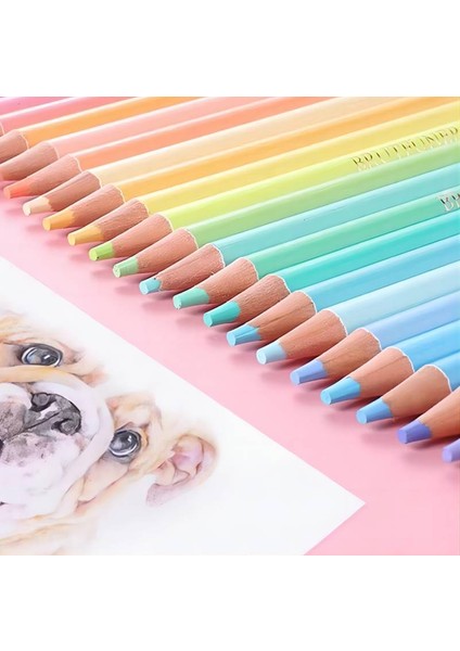 12/24 Renk Seti Makaron Renkli Kalemler Eskiz Ahşap Renkli Kalemler Öğrenci Sanatçı Çizim Sanat Malzemeleri Için Boyama (Yurt Dışından) fiyatları