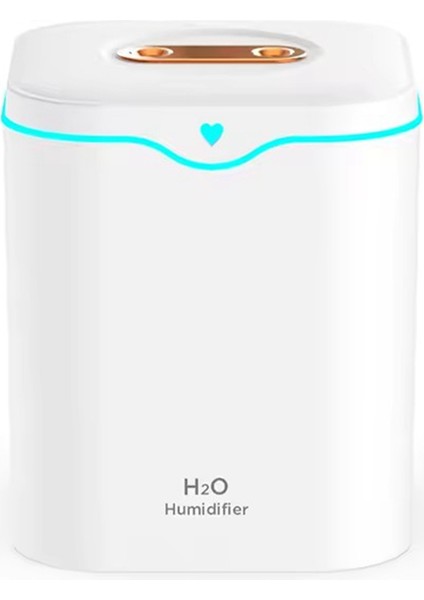 2000 ml Büyük Kapasiteli Çift Portlu Hava Nemlendirici USB Sessiz Aromaterapi Difüzörü Ev Için Soğuk Sis Makinesi Beyaz (Yurt Dışından)