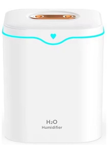 2000 ml Büyük Kapasiteli Çift Portlu Hava Nemlendirici USB Sessiz Aromaterapi Difüzörü Ev Için Soğuk Sis Makinesi Beyaz (Yurt Dışından) fiyatları