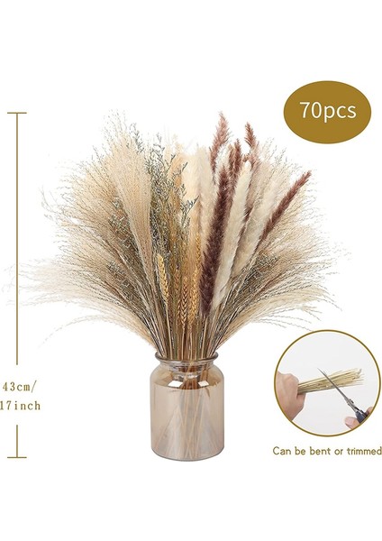 70 Adet Doğal Pampas Otu Dekoru, 17 Inç Kurutulmuş Pampas Otu Dekoru - Çiçekler Için 5 Renkli Gösterişli Pampas Otu Bitkileri (Yurt Dışından) indirimleri