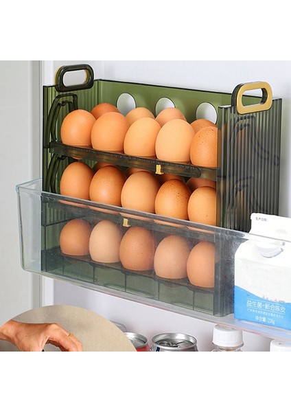30 Izgaralı Yumurta Saklama Kutusu Yumurta Kasası Tutucu Büyük Kapasiteli Yumurta Tepsisi Düzenleyici Kulplu Yumurta Kabı Buzdolabı Için (Yurt Dışından) fiyatları