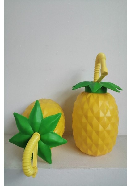 Iki'li Ananas Temalı Pipetli Suluk, Renkli ve Şık Tasarım modelleri