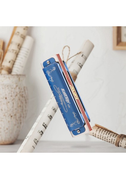 T008K 10 Delikli Blues Mızıka C Tuşu Nefesli Çalgı Plastik Kutulu Temiz Bezli (Yurt Dışından) modelleri