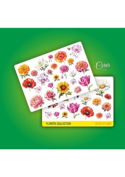 Çiçekler Sticker Set 2 Syf 42 Etiket Planlayıcı Bullet Journal Telefon Için Uygundur.