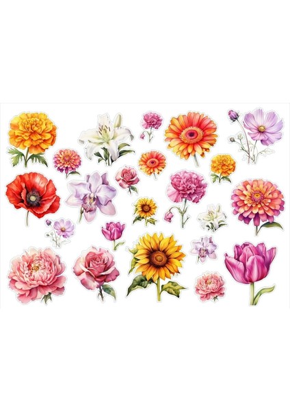 Çiçekler Sticker Set 2 Syf 42 Etiket Planlayıcı Bullet Journal Telefon Için Uygundur. fiyatları