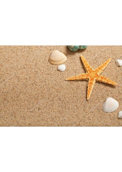 25 Adet Kahverengi Deniz Yıldızı, 4x8 Cm, Hobi ve El Işi Için Ideal Ürün indirimleri