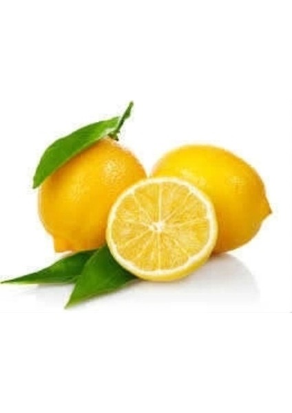Çekirdeksiz Limon Bonesi, Ferah ve Lezzetli 100 Adet Ürün Seçeneği fiyatları
