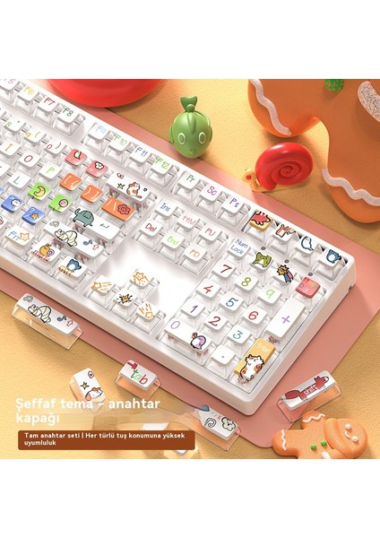 Mekanik Klavye Kapağı (Yurt Dışından) modelleri