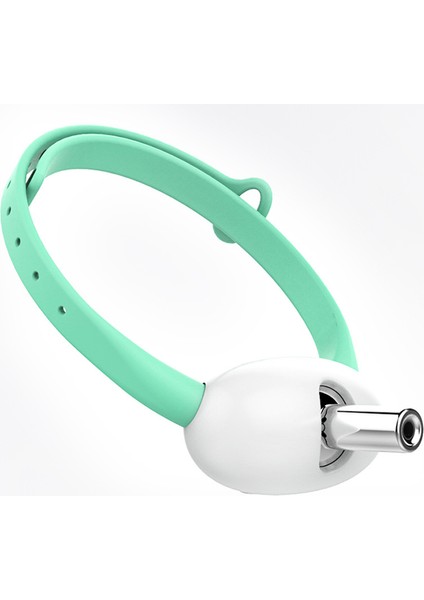 Akıllı Lazer Komik Kedi Yaka (Yurt Dışından)