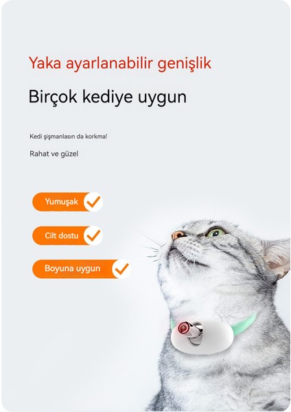 Akıllı Lazer Komik Kedi Yaka (Yurt Dışından) fiyatları