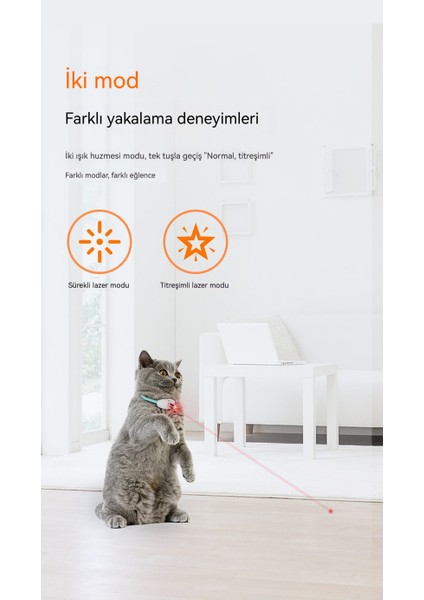 Akıllı Lazer Komik Kedi Yaka (Yurt Dışından) indirimleri