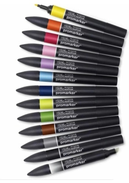 ProMarker Set 1 12 Renk fırsatları