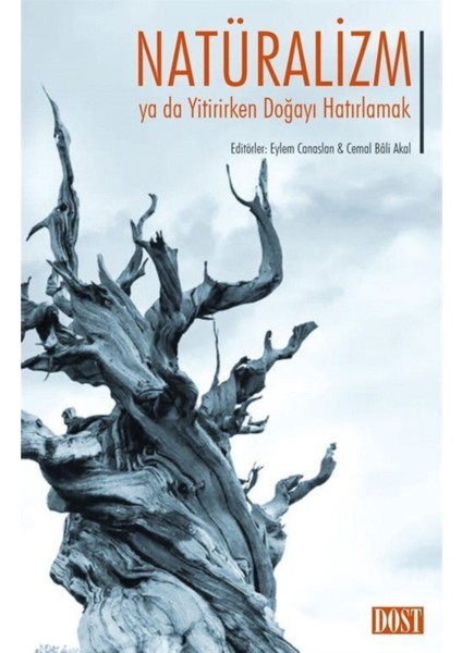 Natüralizm Ya Da Yitirirken Doğayı Hatırlamak - Eylem Canaslan fiyatları
