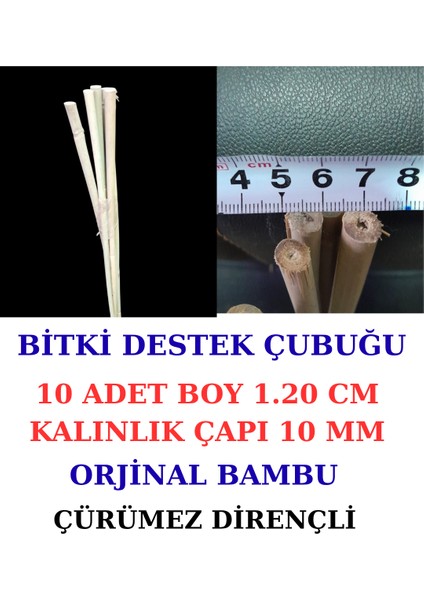 Bambu Bitki Destek Çubuğu 10 Adet -120 cm