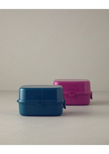Renkli ve Şık Plastik Yemek Kutusu, Sağlıklı ve Pratik Kullanım Için Ideal. fırsatları