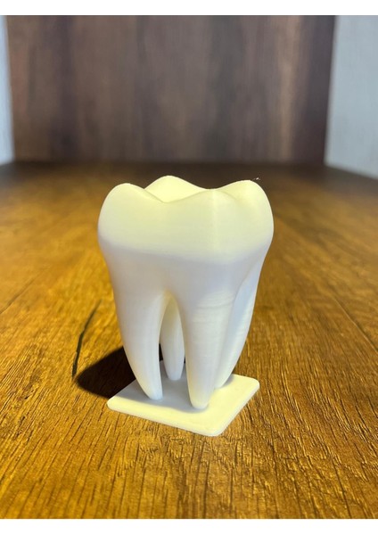 Beyaz Diş Tasarımlı Şık Kürdanlık, Pratik ve Estetik Kullanım Sağlar. modelleri